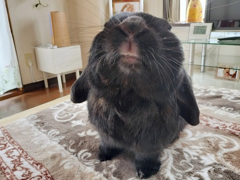 30DC1662-C92E-4698-B00F-220DEAD91975