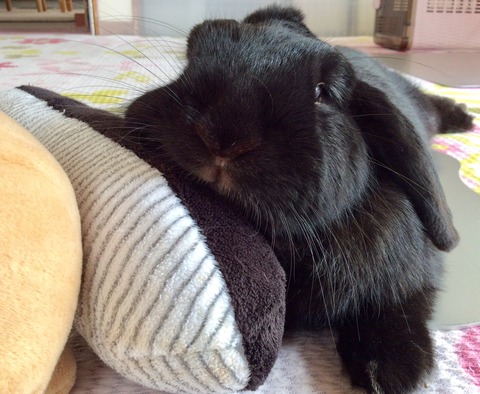 EF888049-8DD4-4BB9-9B9C-6446F3264AC9