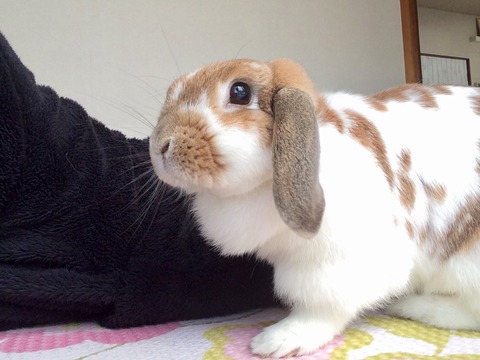 112A4E0C-ADDA-45A1-BB42-D0313E543BAA