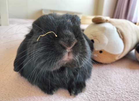 02B4A0A0-38F6-4DE1-B3E4-709D91EE7DE6