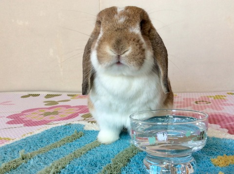 DB64794C-D253-464E-8D72-C13E4C263741