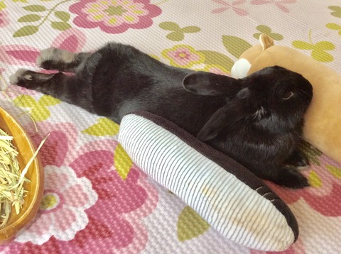 6BF21265-8879-487D-A867-BDF5F84C0022