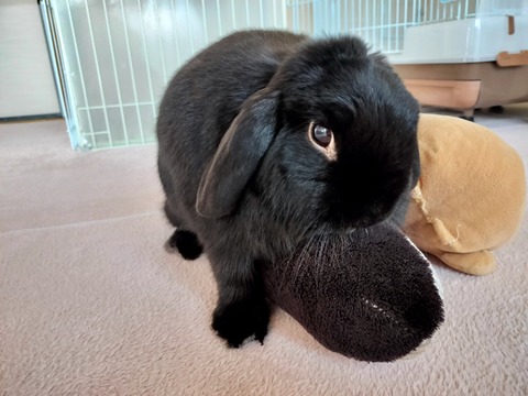 B7E647F6-441C-406D-9B71-DC2123E91C23