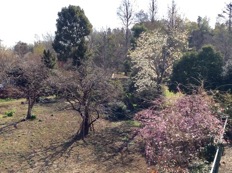 940A6FC3-587D-4D74-9FF4-812DF437505D