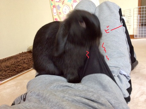 47F6AA21-2990-4D3D-94A0-8B154B888865