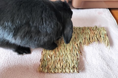 11464A60-B4E1-4A0B-B454-9D028CA768DE