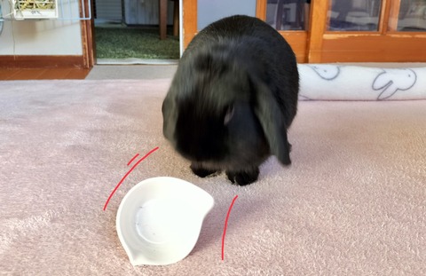 3731BE06-6C39-40B0-A51A-381AE920FBC3