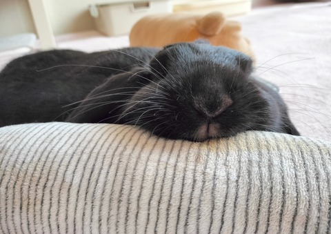 811B6F74-B4EA-49C2-8C56-01EC9D66B6C1