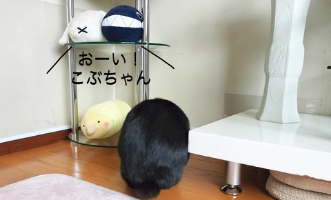 0A43FD93-E772-4B6B-B8C2-B283F2703210