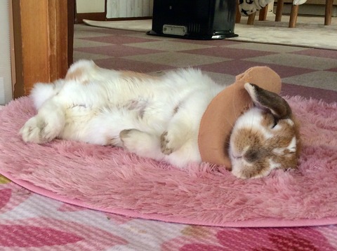 5A78DDC0-4344-48B3-B565-75EA72952FBB