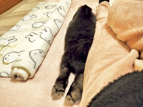 8FCE7291-B8DD-4A2D-9296-BDC36713ED5C