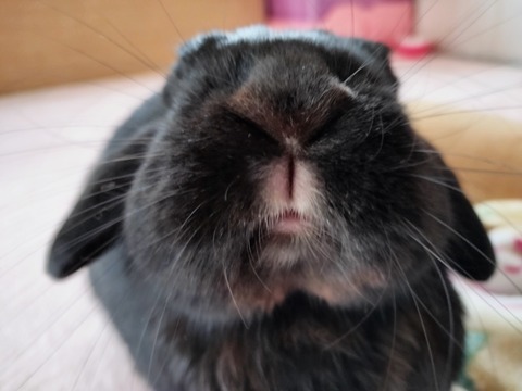 D754199C-164B-4EC9-A89B-A066B74E49D5