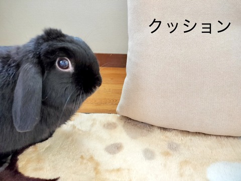 71B4A68C-990E-4D2B-A227-8AE6CDD19F2D