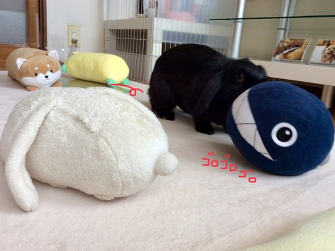 58976284-FBF6-4C4D-A0DE-76271E195AE7