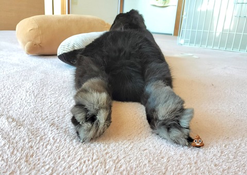 02376BE1-BCC4-4C98-B142-D508BFF01395