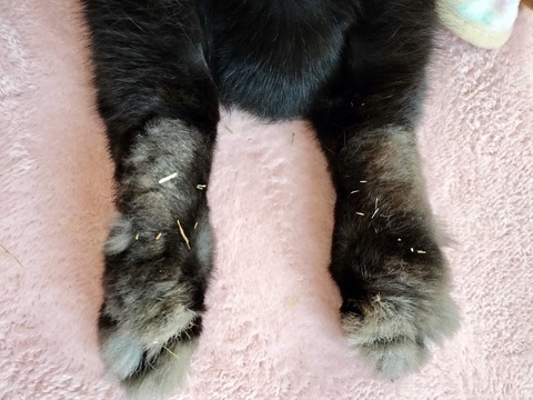 B8DBA3CB-CA5C-4660-A91E-A20216326E04