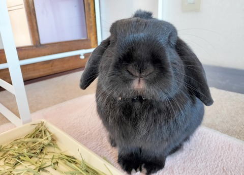 2355932A-31DC-4211-851B-758BE05347E0