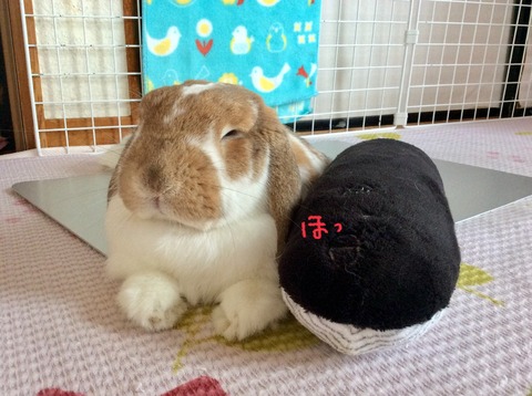 3CD96E93-5560-4D81-8774-893B8A08A586