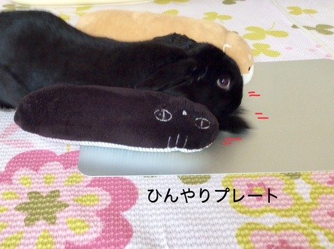 EF744A88-24E9-47A6-BD65-E06B4CC36836