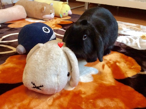 AA4EA252-2392-498C-AF23-5AC72F646488