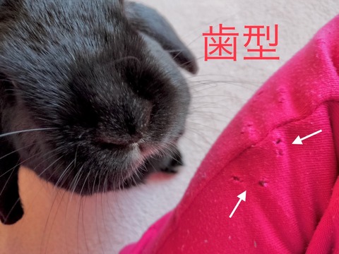 6B8D79E9-995E-47E3-9D07-E2A45018987E