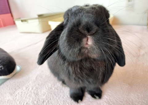 050AEAE4-68D5-4222-B8D6-487FDD1E6B78