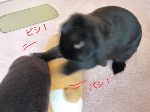 289B4DBC-F445-4F3D-8AE1-97A612980BCF