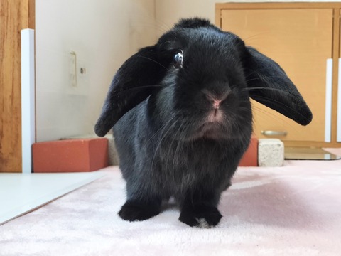 5459EEB8-5805-4BB2-8E24-51A60021D829