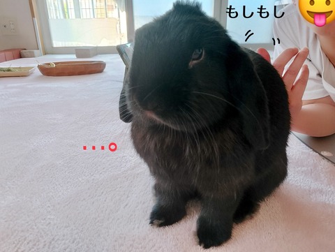 7DAD4CE2-7110-49DF-A346-438B90BD282D