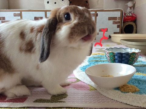 2179D26B-0494-47AB-B00D-F1A27A594301