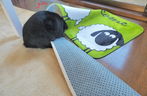 B790D54B-FD82-4297-B5CF-5042673D9189