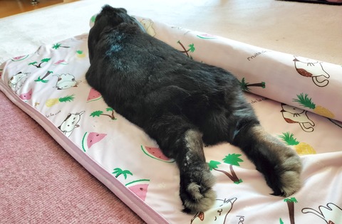 E8925DDD-66CD-456B-893C-67112BF804B1