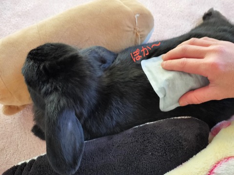 00C6EE54-057D-4816-916A-2196AC9AE7B0