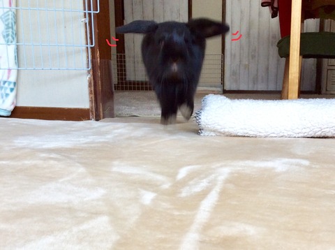 F7EEC51C-2E4D-4415-BB7F-63E72E4B2BC2