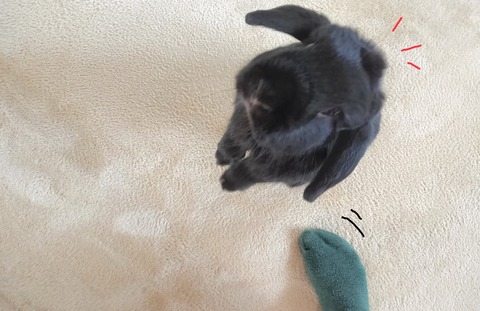 F3DB9DC1-E16A-415C-B005-1A0D584DF9B2