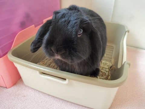 0AC765F5-D45E-4F19-A4DA-2136ECE1CB28