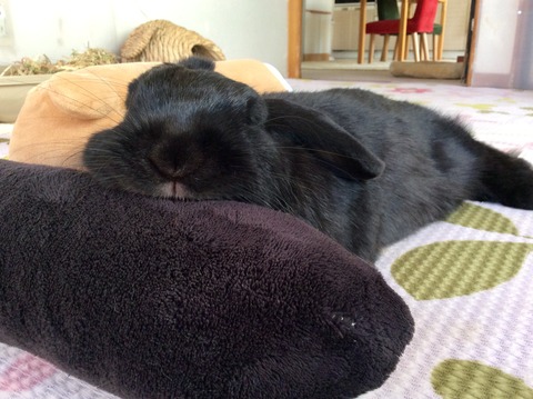 34F759CF-8AB9-4570-8F70-7A9B234356DE