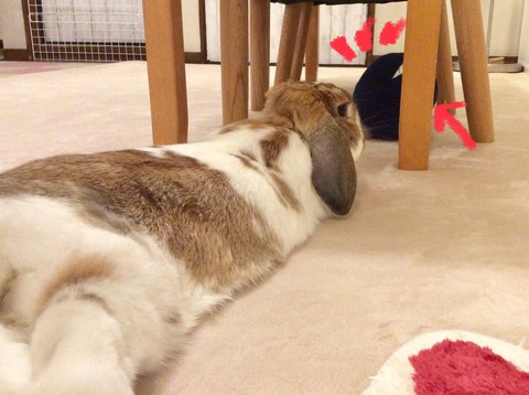 CC5EF244-A614-421F-9E6F-11CE25848081