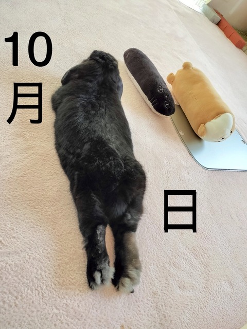 8BFAC87E-D26F-415A-8CD9-65C2CE1D8F65