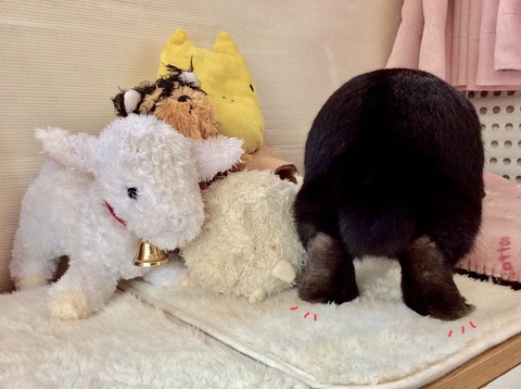 E5551D7B-FBB7-4792-A4A5-9F467F288589