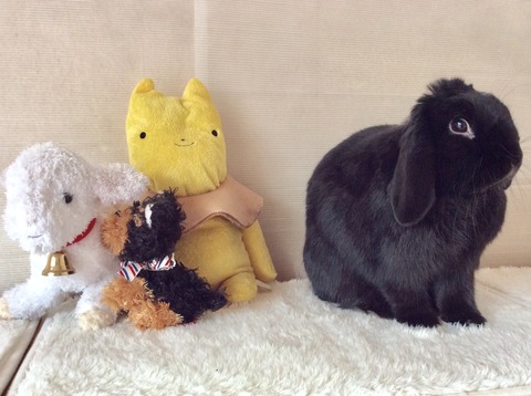 6327D7CF-FCB6-4189-83D1-C1CC051991EA