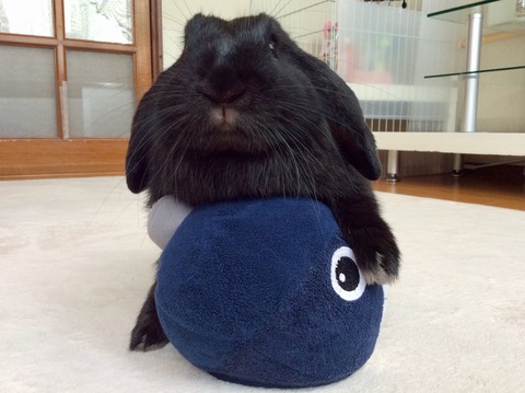 23B3D9DE-7045-4A7F-8E5F-FB840F456F9B