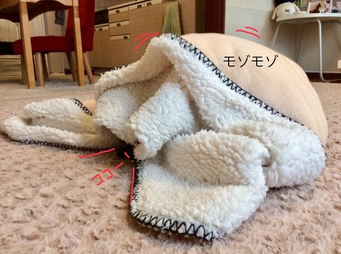 A4A36A21-D7B7-4562-972A-46E217B7CD16