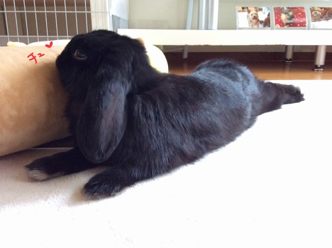 152203A3-7423-4C49-8CD0-C64A495BC310