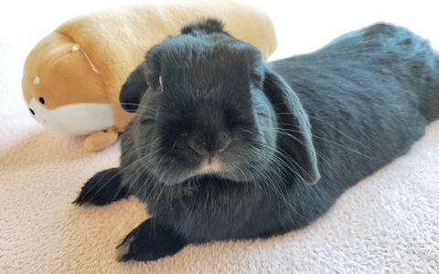 E4BC9CC7-EEB0-44B7-9EC3-72C5FA24CACF