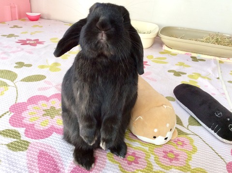 484C9A8C-87F5-47CA-AC15-CFA4F51D4AFE