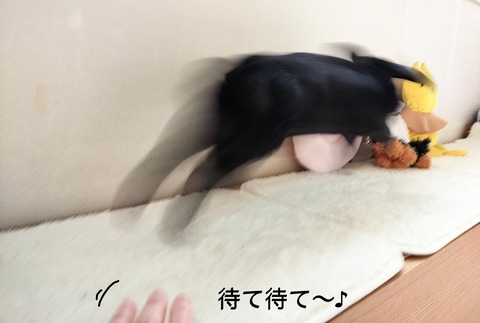 475578C0-96FC-4C3D-B53E-9BDF4BEE03D3