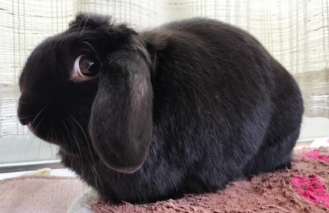 EA8B31C2-533D-43B5-A752-9599A0263858