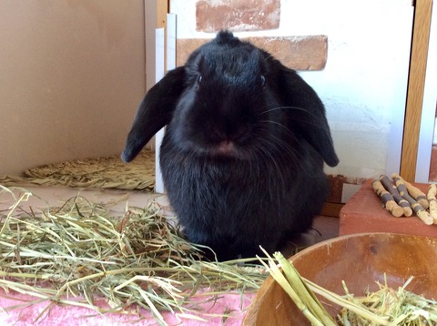 C6405EF2-28F1-44FB-8CA8-1B540F670F5C