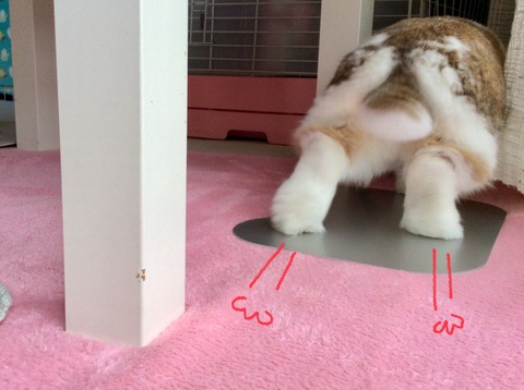 2B98C938-15B2-4E64-890E-528D2DF42FBF